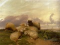 Moutons dans les Prairies de Canterbury Animaux de ferme Thomas Sidney Cooper